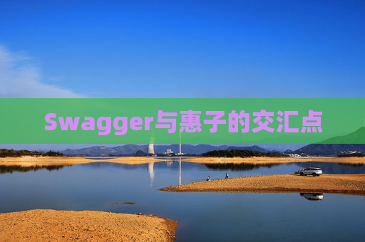 Swagger与惠子的交汇点